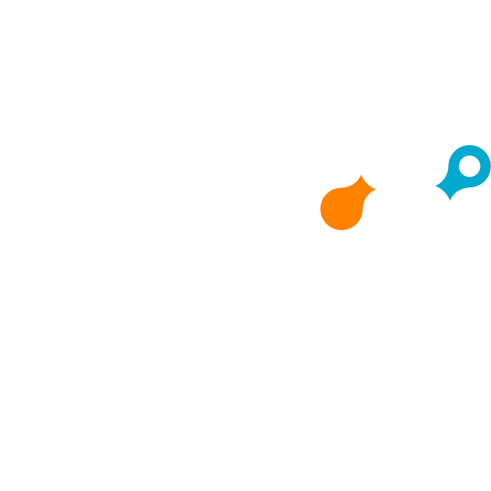 Netskope